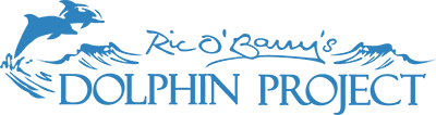 Dolphin Project logo