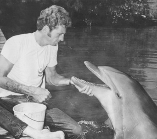 training dolphins