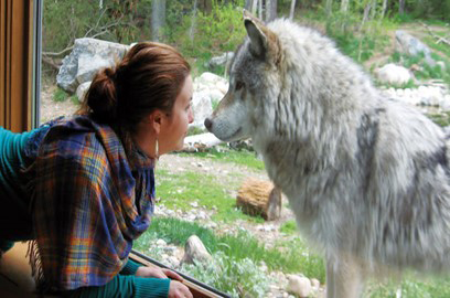 woman looking at a Wolf